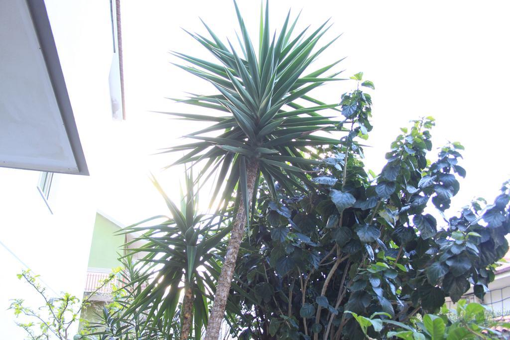 B&B Mimosa Giardini Naxos Ngoại thất bức ảnh