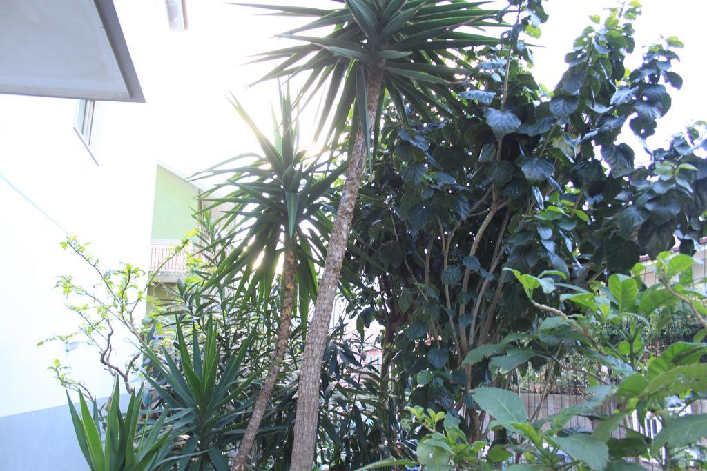 B&B Mimosa Giardini Naxos Ngoại thất bức ảnh
